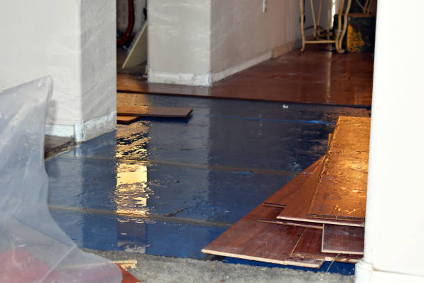 Professional Basement Water Removal technician working in Dennis, TX